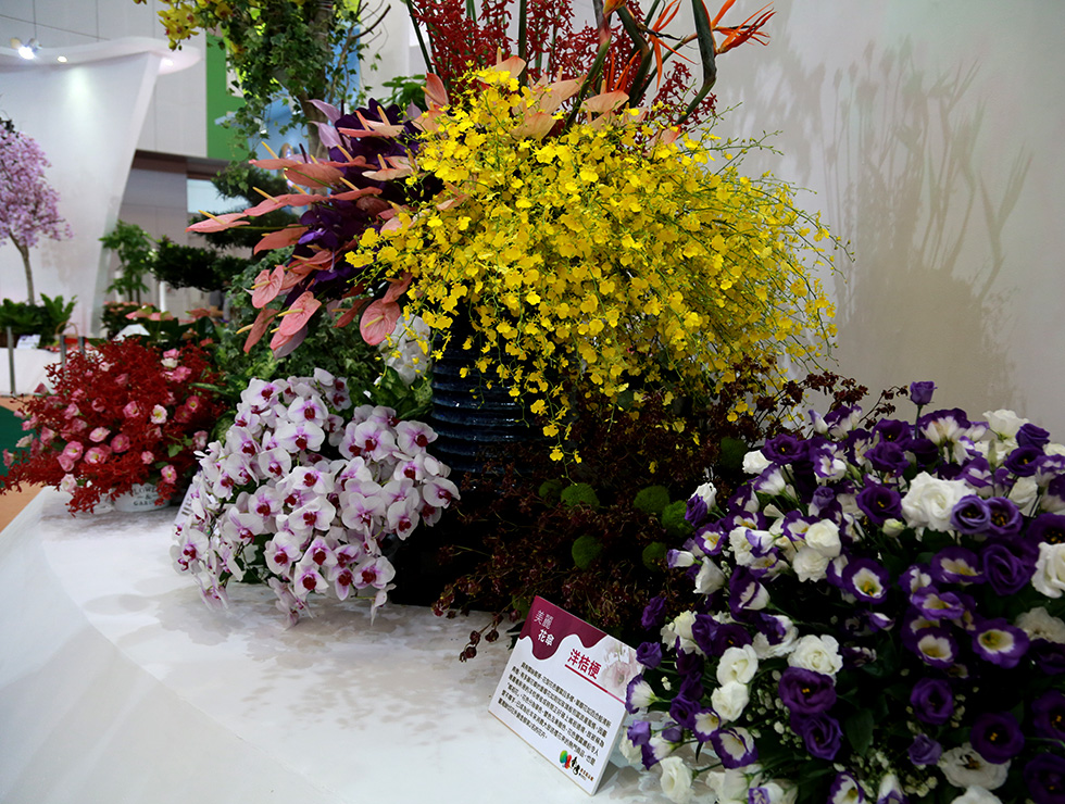 館內展出各式台灣特色蝴蝶蘭及鮮切花，猶如走入花花世界