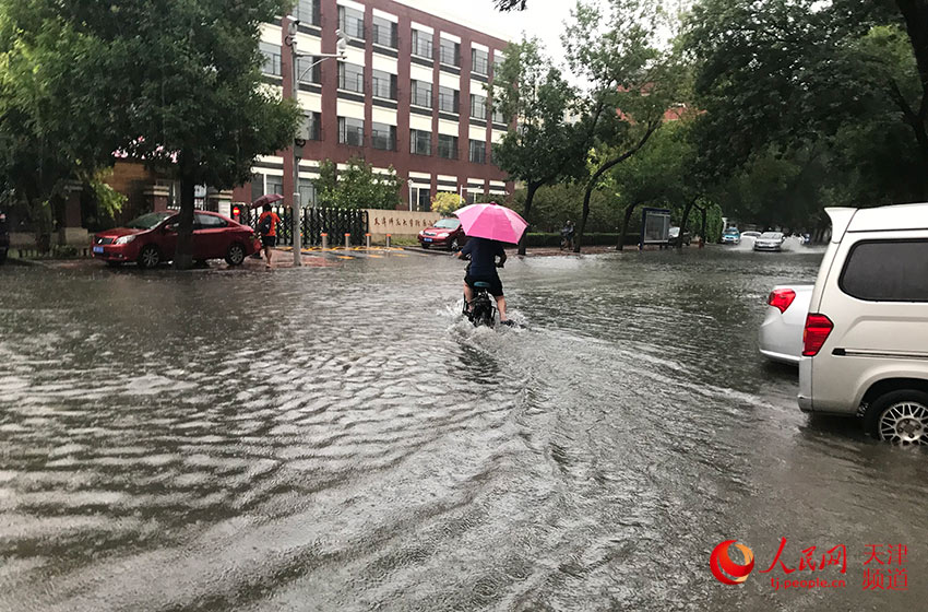 天津普降大到暴雨,市民雨中骑车上班.孙晓川/摄