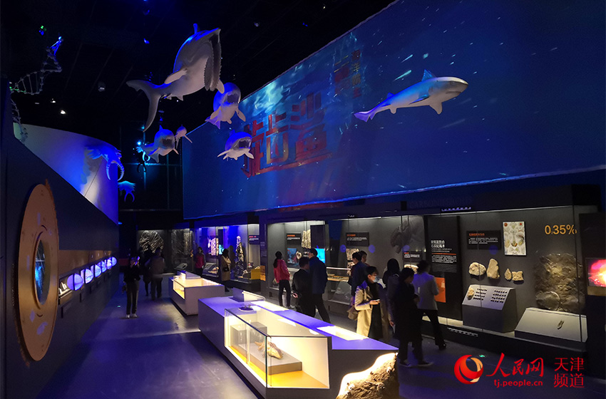 国家海洋博物馆有望年内开馆 滨海新区将再添"打卡地"