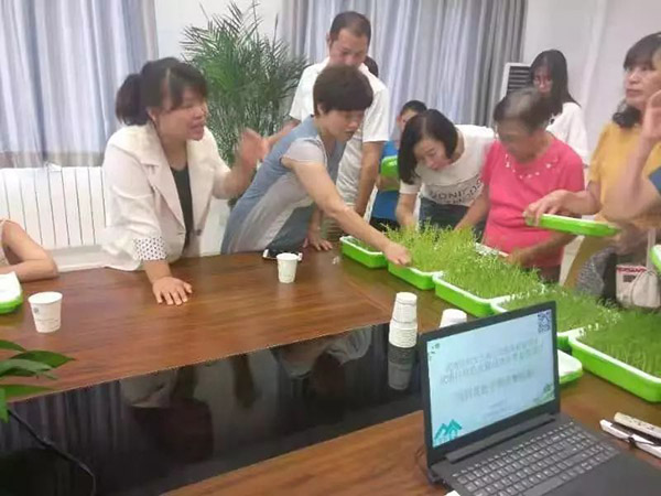 社区里的芽菜种植手工坊 教你动手营造家庭菜园 天津频道 人民网