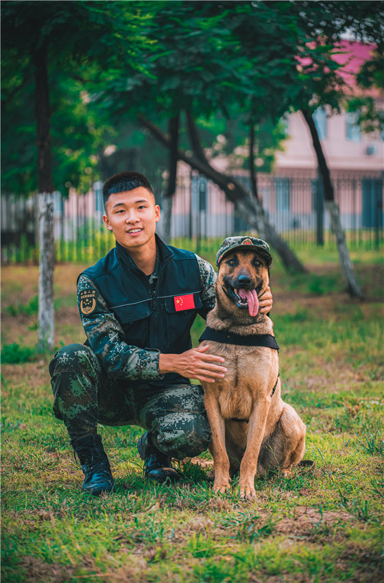 圖為警犬“大衛”服役三周年紀念照。孟少陽攝