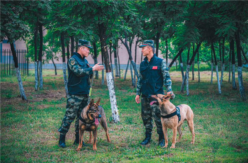 ͼΪ��Ȯѵ��Ա����ѵ���ĵá���������