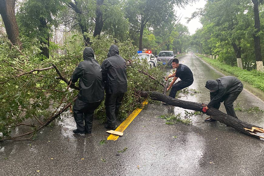 天津公安移除路面上被大风吹断的树干。于玉东摄