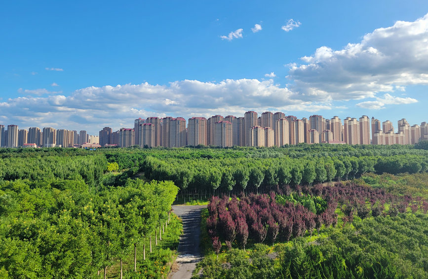 津南區森林碳匯作用逐步顯現。天津市津南區委網信辦供圖