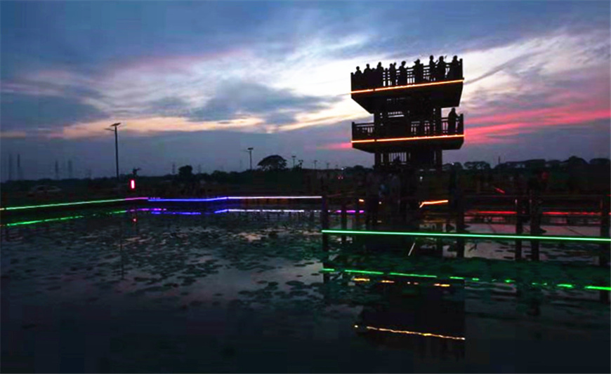 游客在荷塘边的高台上欣赏晚霞。杨全胜摄