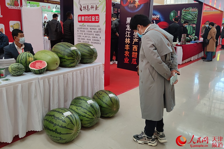 市民參觀2021天津國際種業博覽會。人民網 孫一凡攝