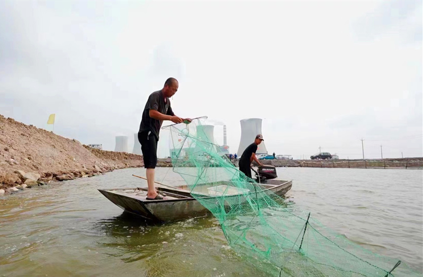 寨上街道正式進入持續四個月的“鹽田蝦”捕撈季。天津長蘆漢沽鹽場黨委宣傳部供圖