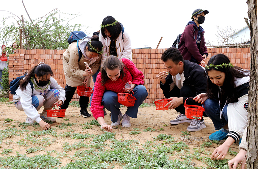 留學生體驗中國傳統農耕文化。天津外國語大學供圖 