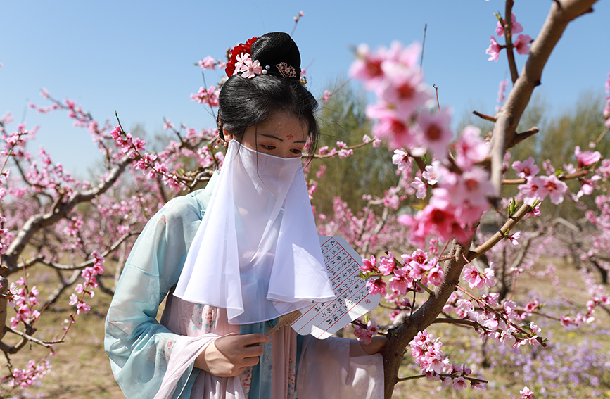 游客漫步花海，拍照留念。周立祥摄