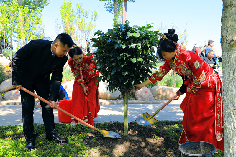 新人们共植幸福树。宁河区委宣传部供图