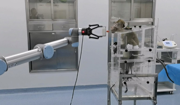 試驗通過介入式腦機接口實現動物主動控制機械臂