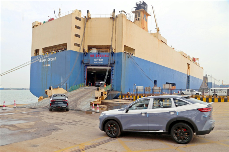 東港邊檢站助力天津口岸國產商品汽車首次運往巴西。東港邊檢站供圖