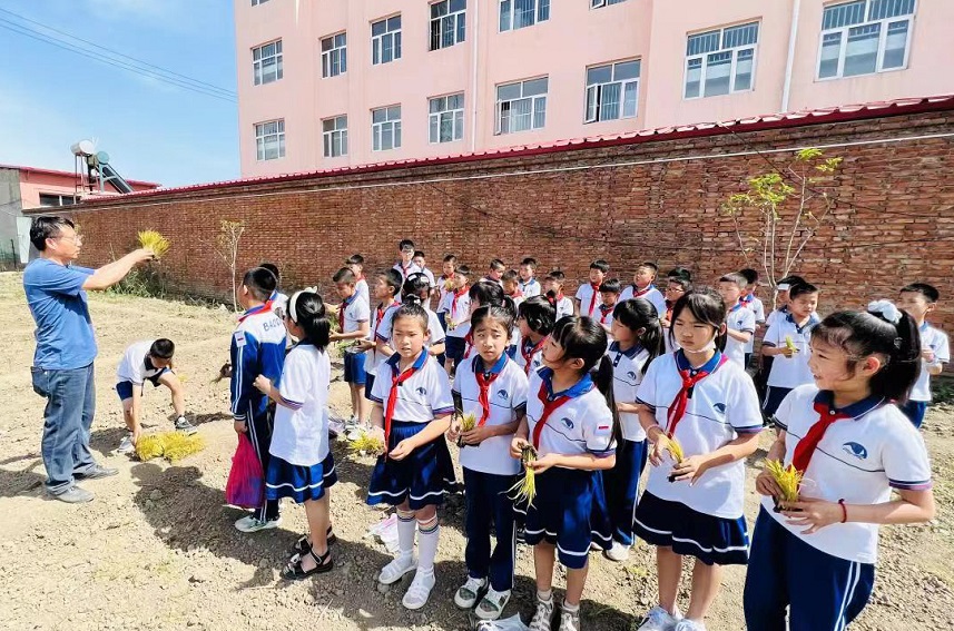 寶坻區八門城鎮菱角沽中心小學的孩子們聽老師講述插秧動作要領。寶坻區委宣傳部供圖