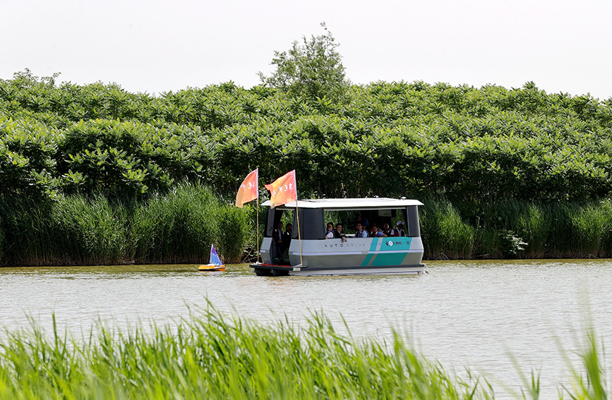 游客乘坐無人水上巴士。天津大學供圖