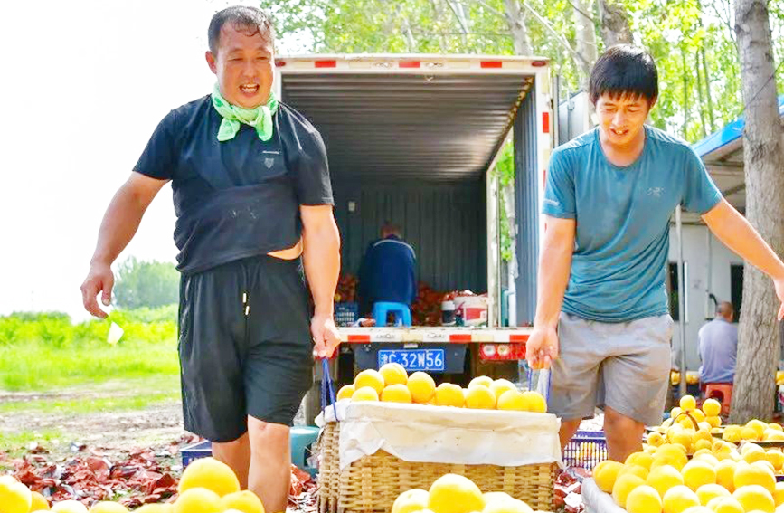 同心助农，让“滞销桃”变成“爱心桃”。武清区委宣传部供图
