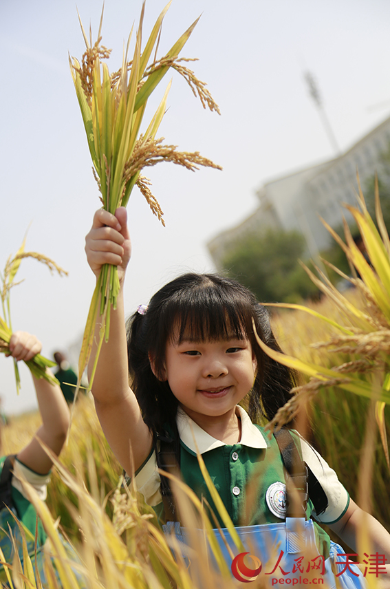 小朋友展示亲手收获的水稻。人民网记者 崔新耀摄