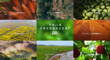 中国新增3项全球重要农业文化遗产