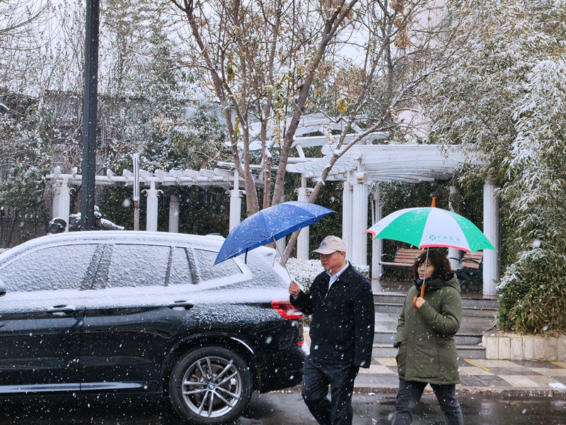 雪中，市民打伞出行。人民网 郭维瑾摄