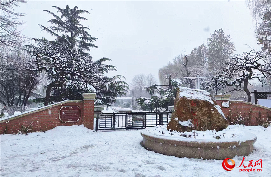 天津市睦南公園被白雪覆蓋。郭維瑾攝