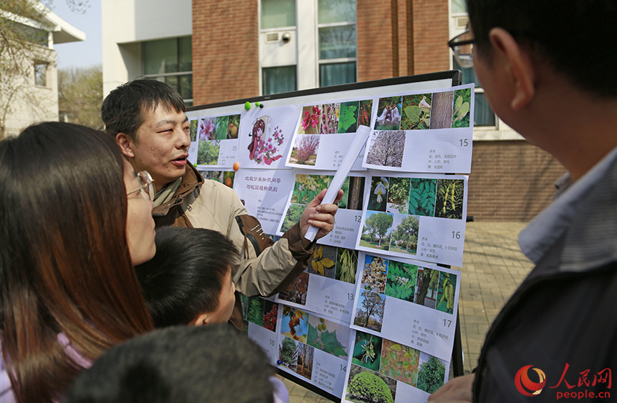 天大教师为游客科普春季植物识别。人民网记者 崔新耀摄