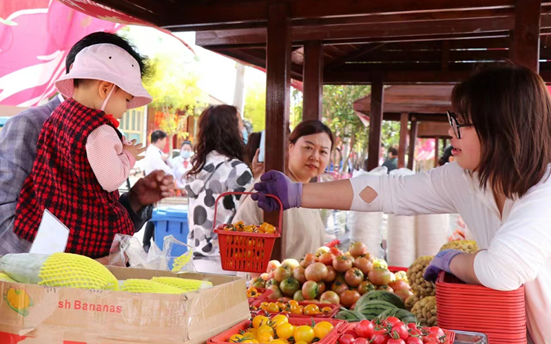 游客選購西紅柿。天津市武清區委宣傳部供圖