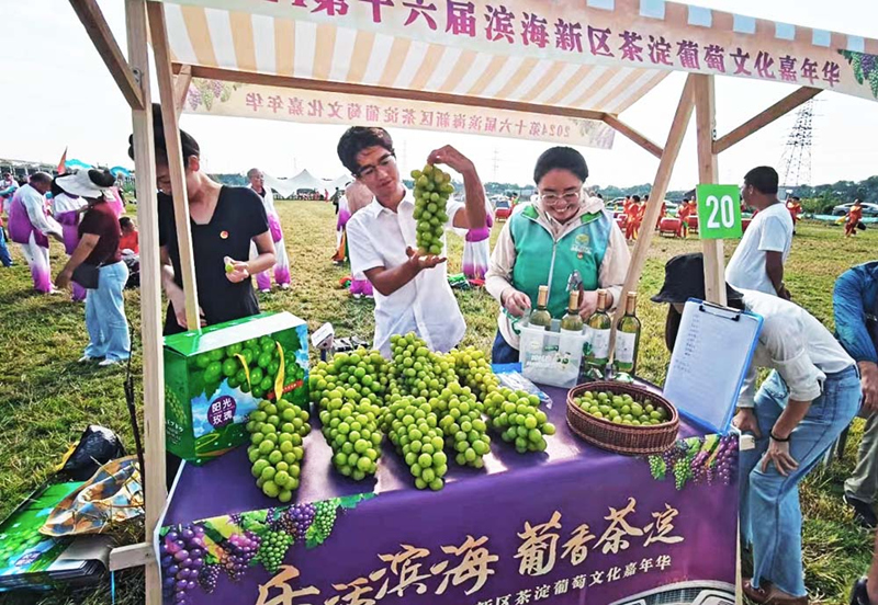 滨海新区茶淀葡萄文化嘉年华市集区摊位。活动主办方供图