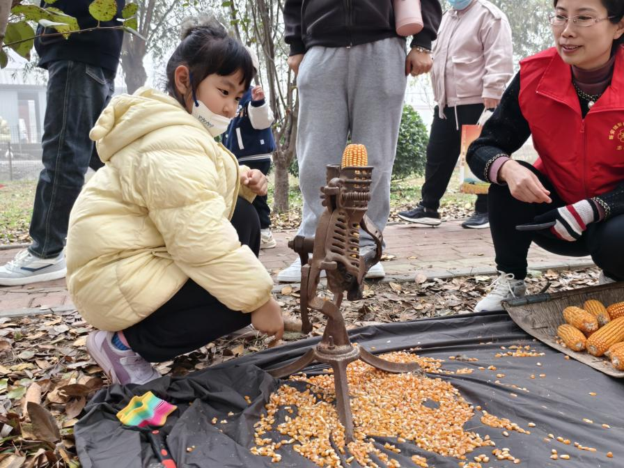 在农事体验区体验玉米脱粒。宝坻区委宣传部供图