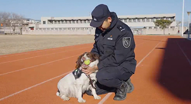 警界“汪汪队”如何练就十八般武艺