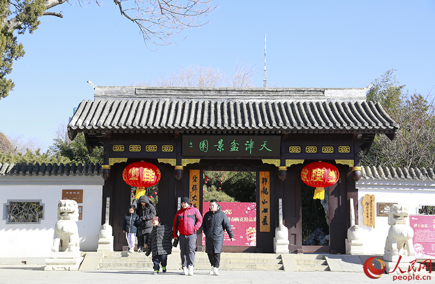 春節期間，“津上添花”金蛇迎春梅花精品展在天津市水上公園舉辦。人民網記者 崔新耀攝