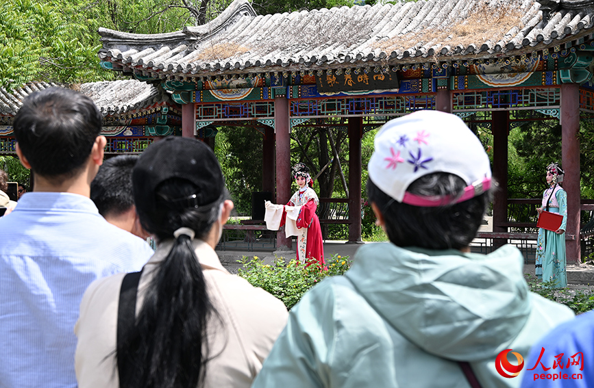 人民公园上演京剧《西厢记》，吸引众多市民打卡观看。人民网记者 孙一凡摄
