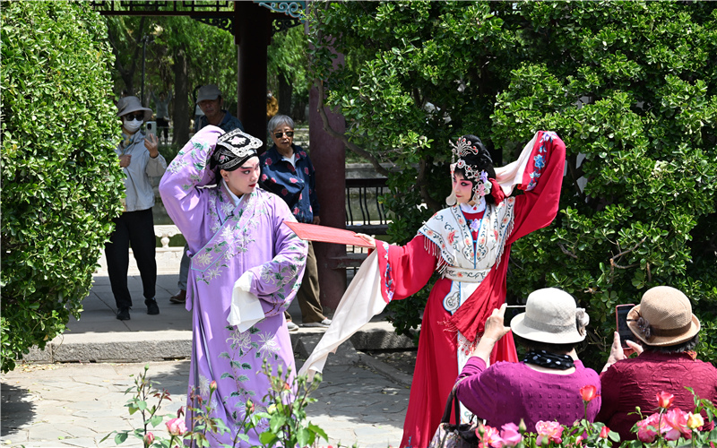 花影為幕 天津人民公園假期有大“戲”
