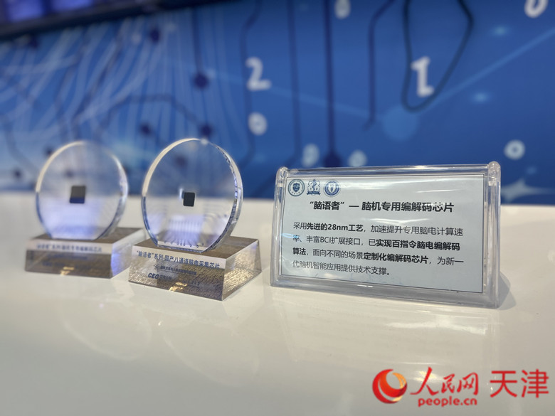 天津大學腦機海河實驗室聯合中國電子研發的腦機專用編解碼芯片“腦語者”。人民網記者 孫翼飛攝