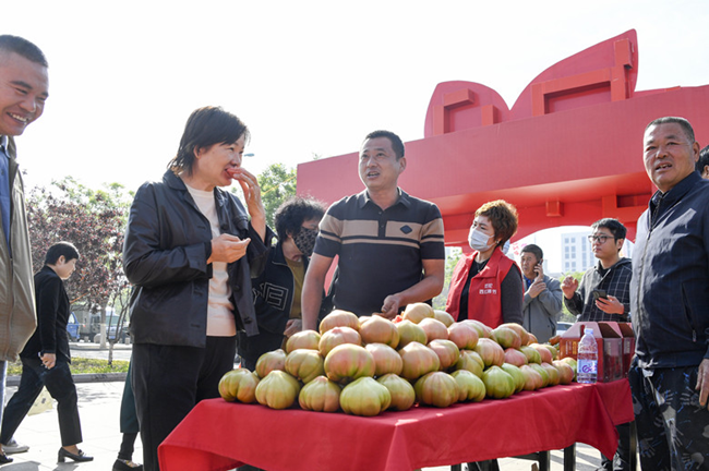 市民在“欢坨西红柿节”追寻“儿时味道”。王莹摄