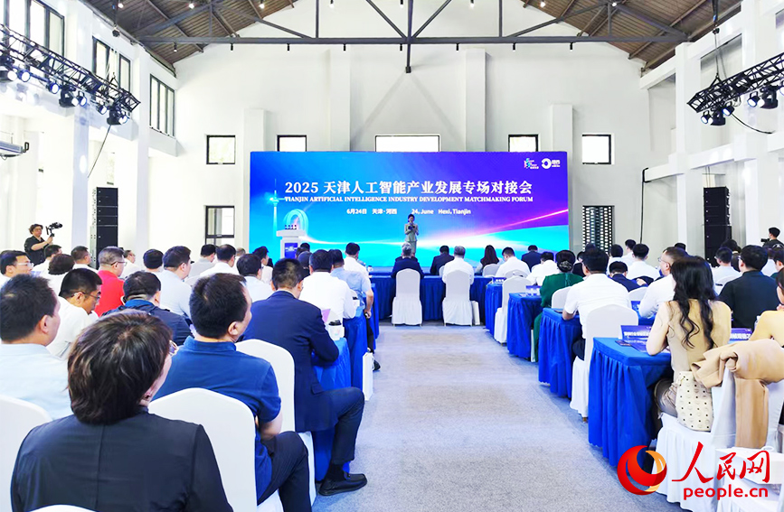 2025天津人工智能产业发展专场对接会现场。人民网 郭维瑾摄