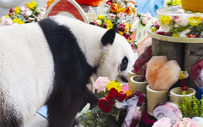 天津市動物園裡雙重驚喜