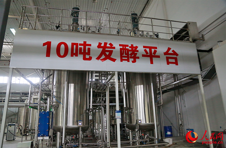 玫瑰香水的“細胞工廠”——10噸級發酵罐。人民網記者 崔新耀攝
