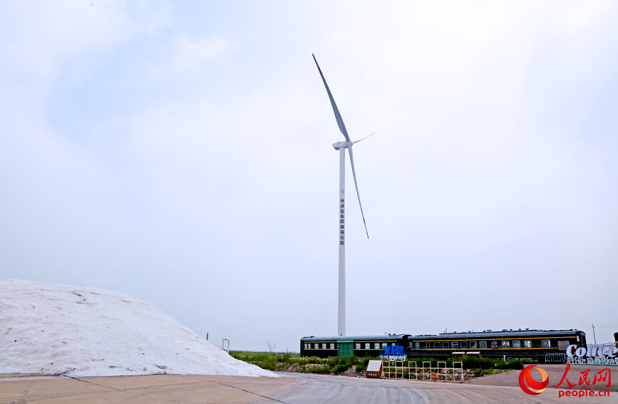 漢沽鹽場打造分散式風電項目。人民網記者 崔新耀攝