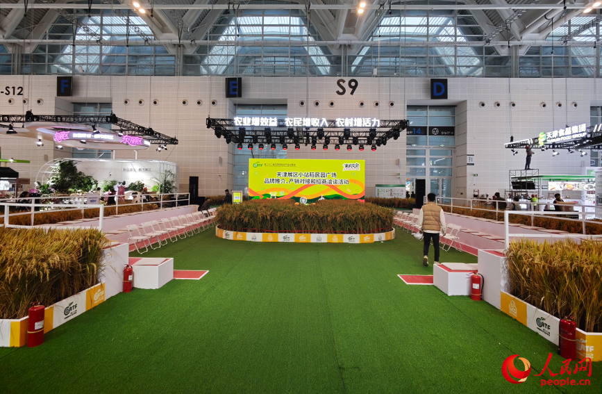 在京津冀协同展区，一整片稻田被搬进展厅。人民网记者 孙一凡摄
