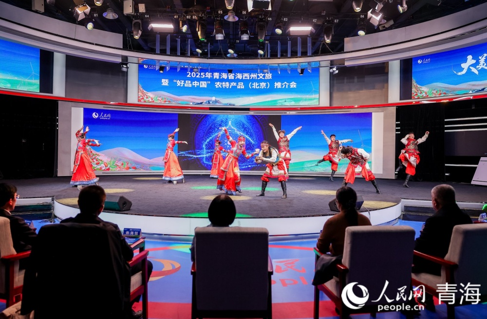 推介会现场。人民网记者 况玉摄