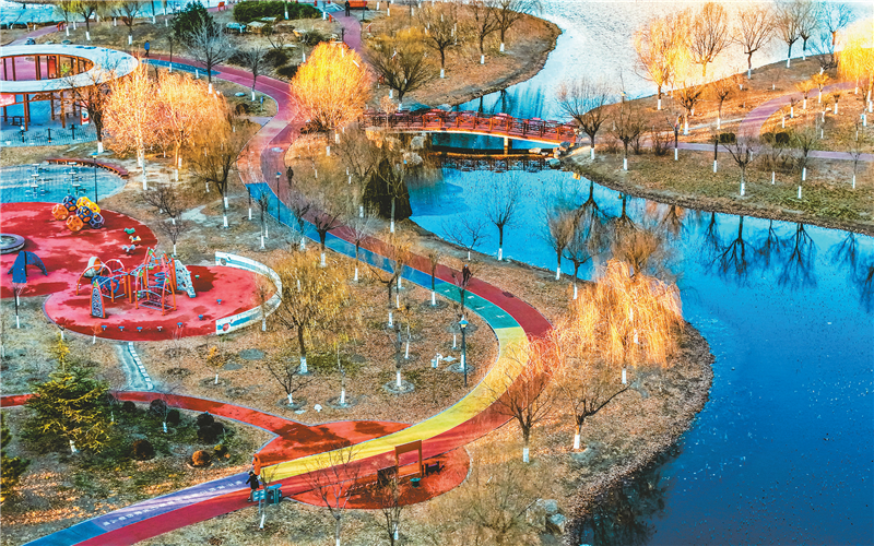 冬日时节 天津市西青区赤龙公园美景缤纷如画