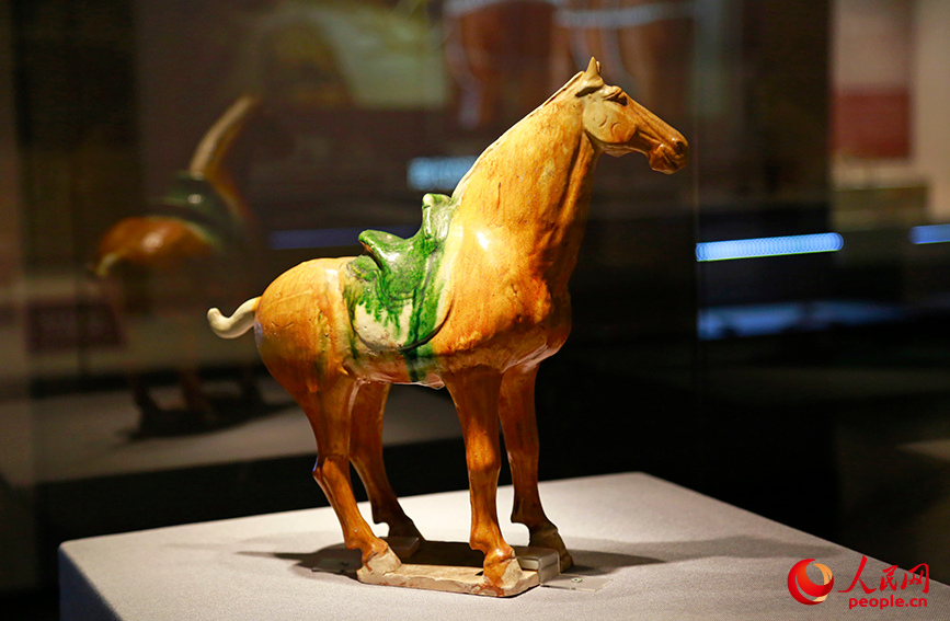 天津博物館展出的“三彩馬”。人民網記者 崔新耀攝