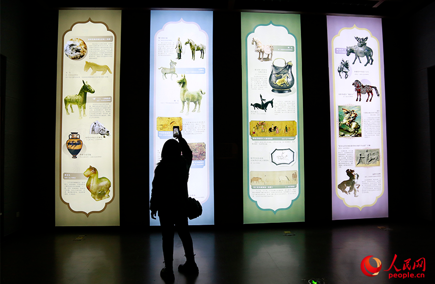 游客在“馬舞新春”展駐足拍照。人民網記者 崔新耀攝