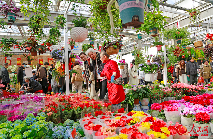 攤主向市民介紹年宵花。人民網記者 崔新耀攝