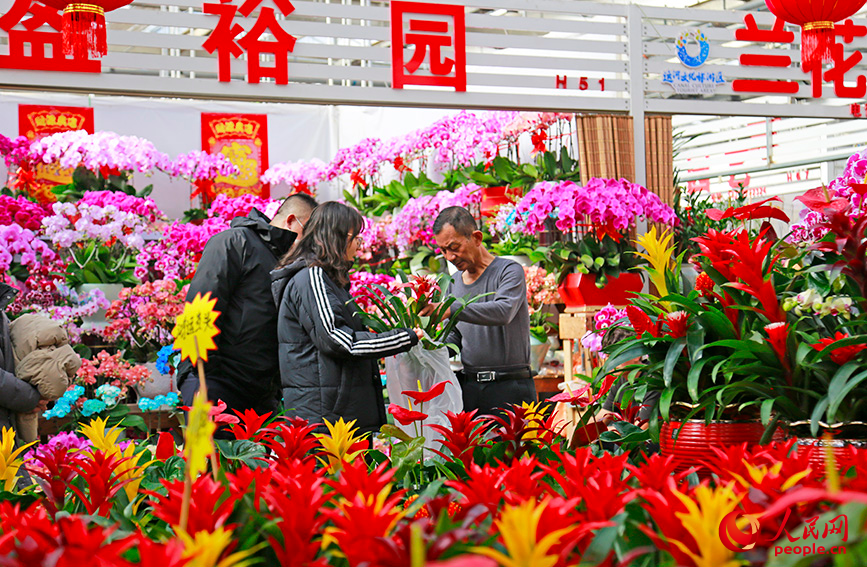市民在花卉市場採買年宵花。人民網記者 崔新耀攝