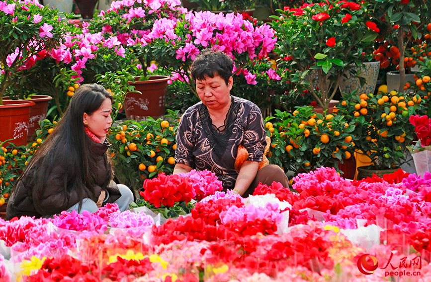 市民在花卉市場採買年宵花。人民網記者 崔新耀攝