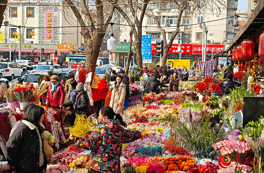 天津市和平區寶雞東道，沿街店鋪擺滿了各色年宵花。人民網記者 孫一凡攝