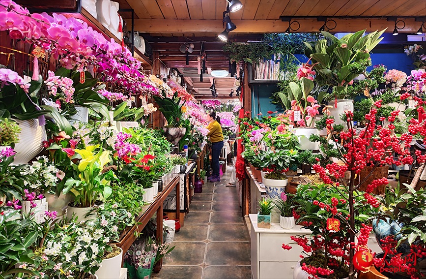 花店里，各类年宵花争奇斗艳。人民网记者 郭维瑾摄
