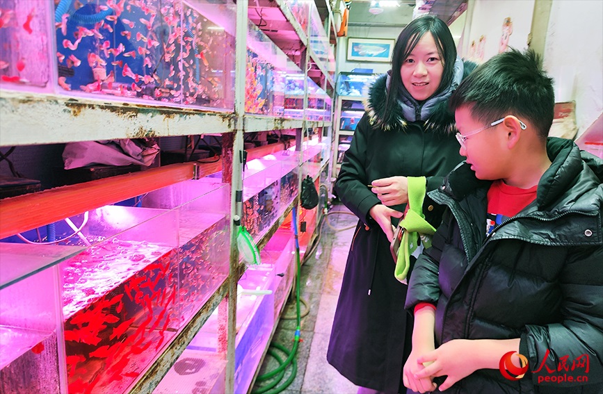 市民陪孩子选购观赏鱼。人民网记者 郭维瑾摄