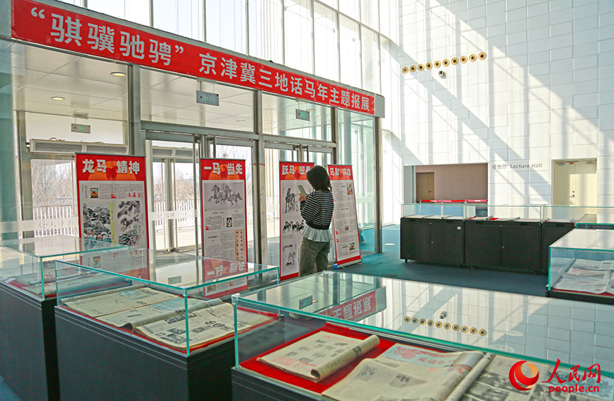 读者在天津图书馆参观“‘骐骥驰骋’京津冀三地话马年主题报展”。人民网记者 崔新耀摄