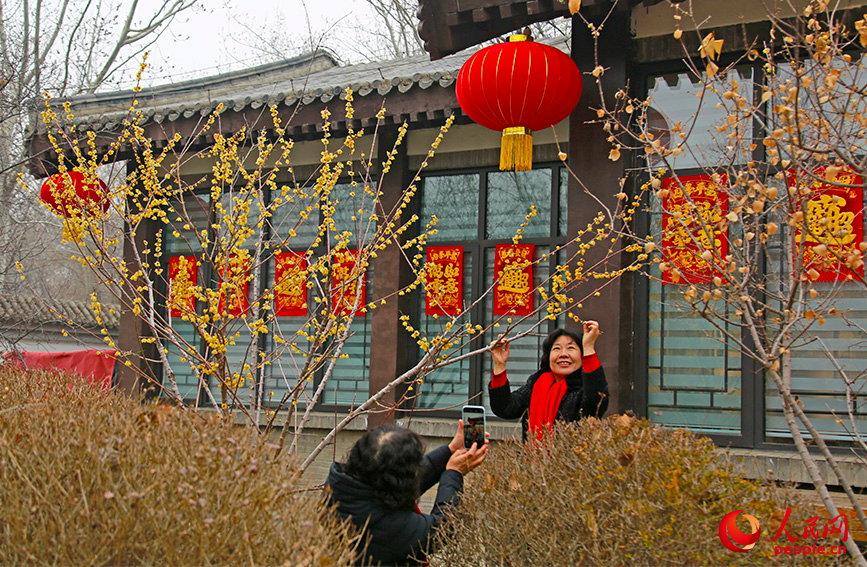 市民在天津水上公園賞梅。人民網記者 崔新耀攝